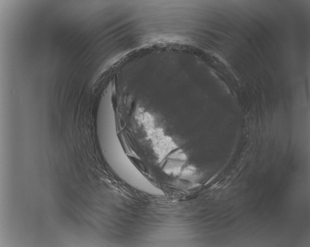X0000060220919200511241235