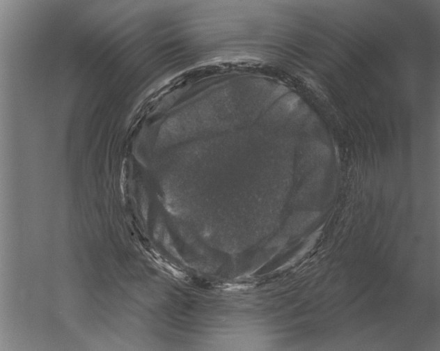 X0000060220920200511241235