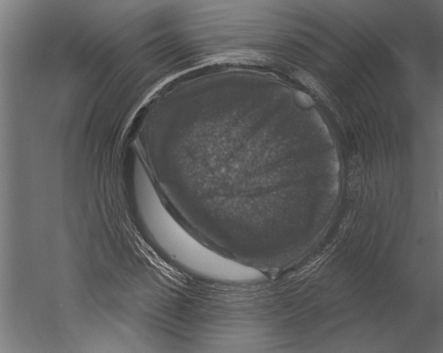 X0000060220923200511241235