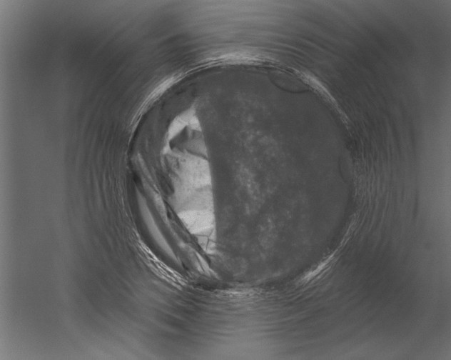 X0000060220930200511241235