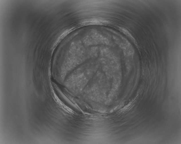 X0000060220938200511241236