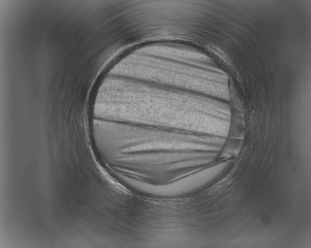 X0000060220942200511241236