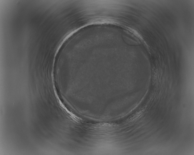 X0000060220943200511241236