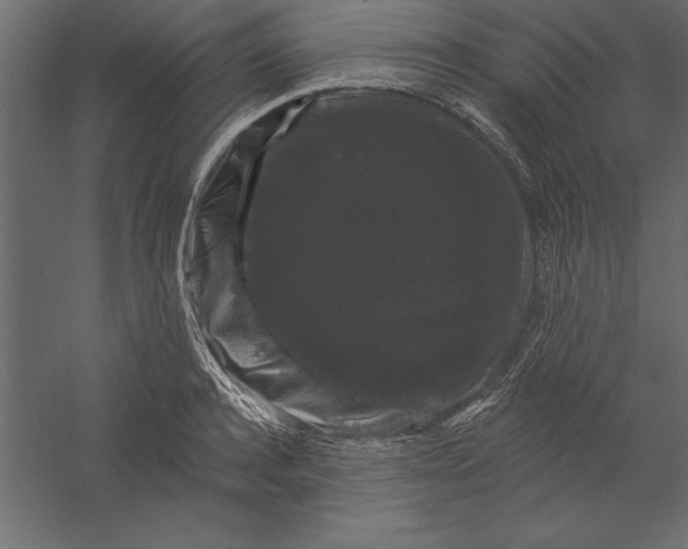 X0000060220944200511241236