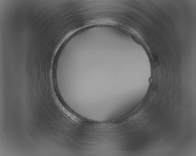 X0000060220947200511241236