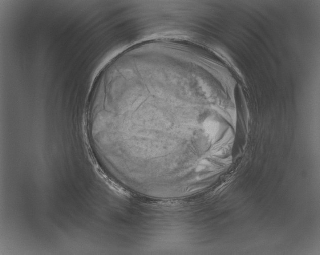 X0000060220952200511241236