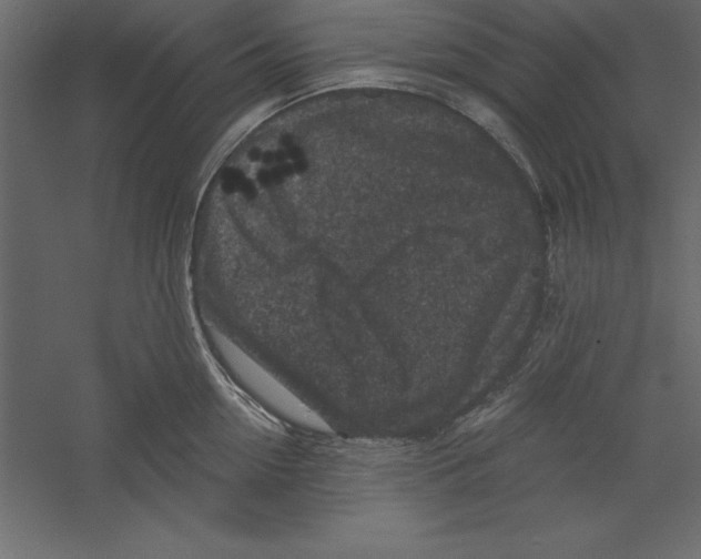 X0000060220954200511241236