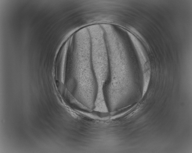 X0000060220956200511241236
