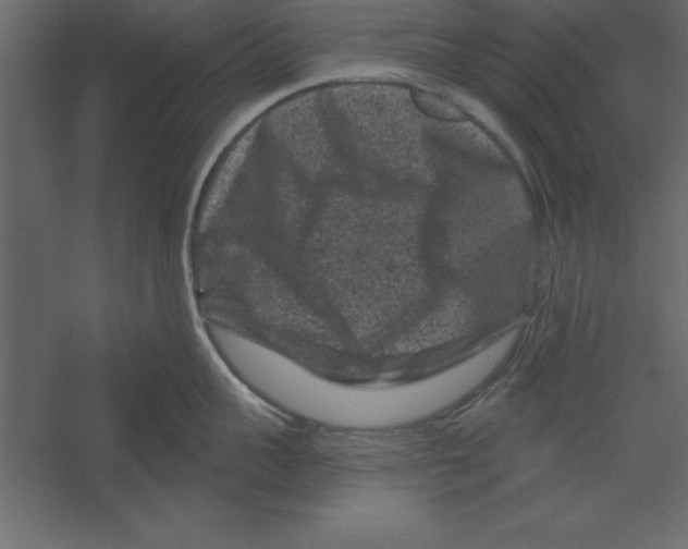 X0000060220959200511241236