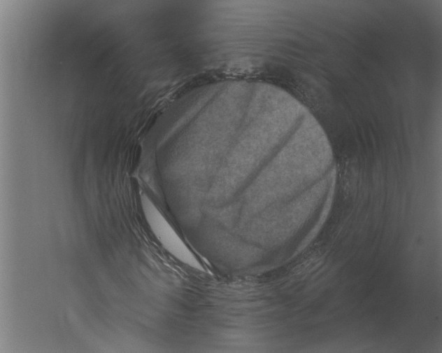 X0000060220962200511241235