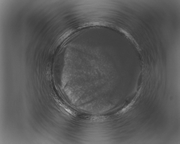 X0000060220977200511241235