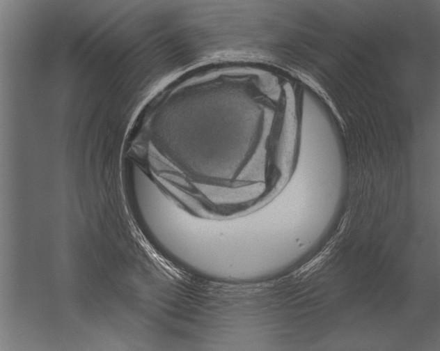 X0000060220981200511241235