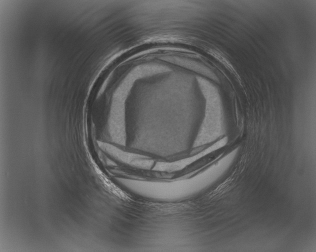 X0000060220984200511241235