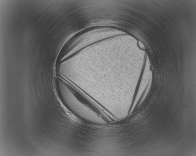 X0000060220988200511241235