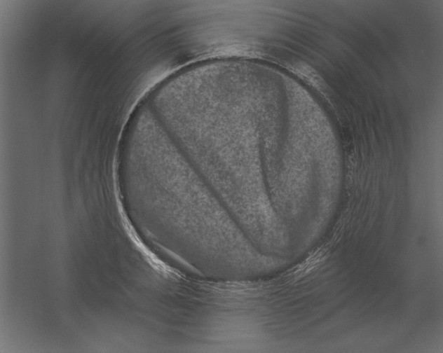 X0000060220991200511241234