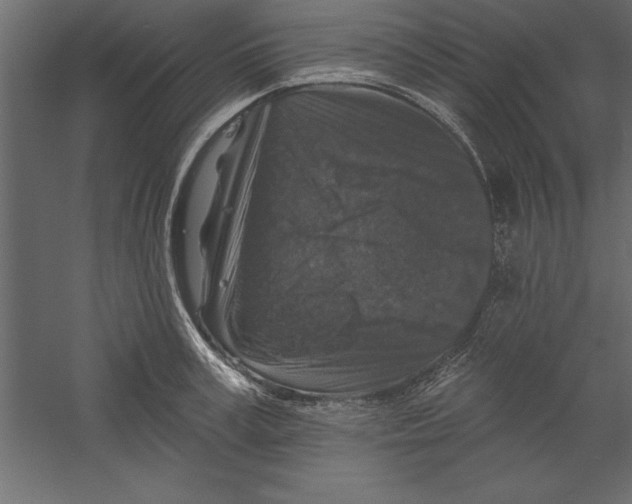 X0000060220995200511241234