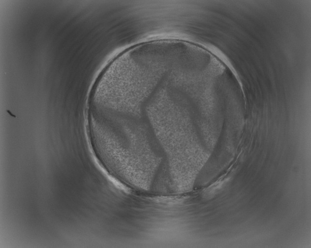 X0000060221005200511241234