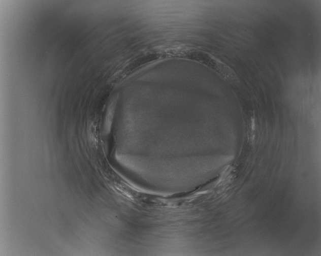 X0000060221010200511241233