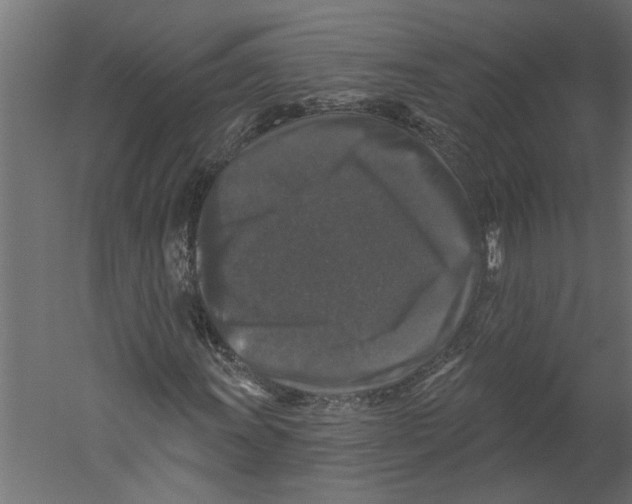 X0000060221011200511241233