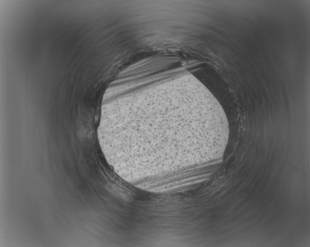 X0000060221012200511241233