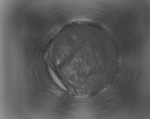 X0000060221014200511241233