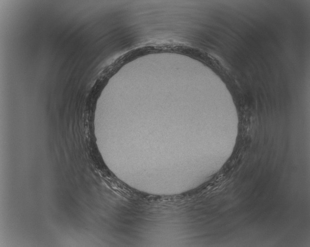 X0000060221016200511241233