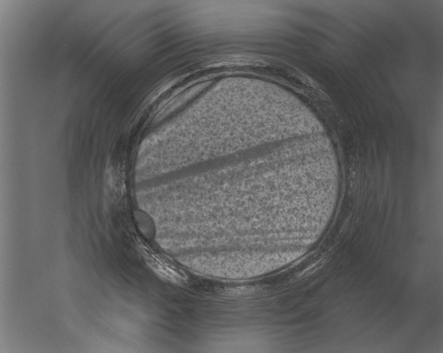 X0000060221017200511241233