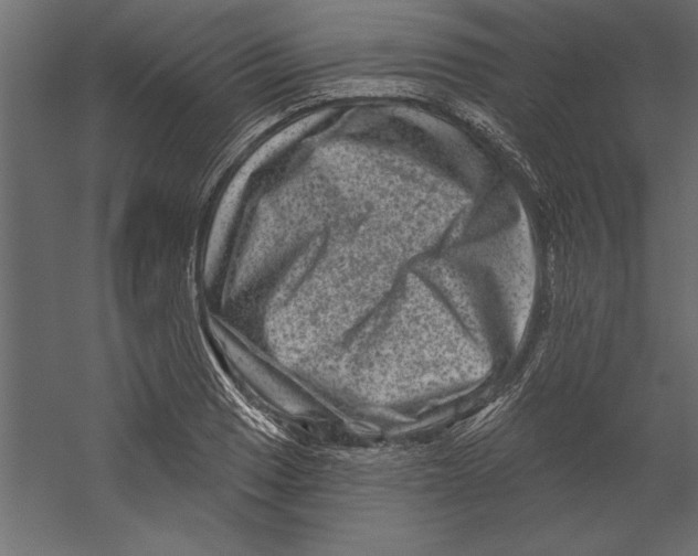 X0000060221033200511241234