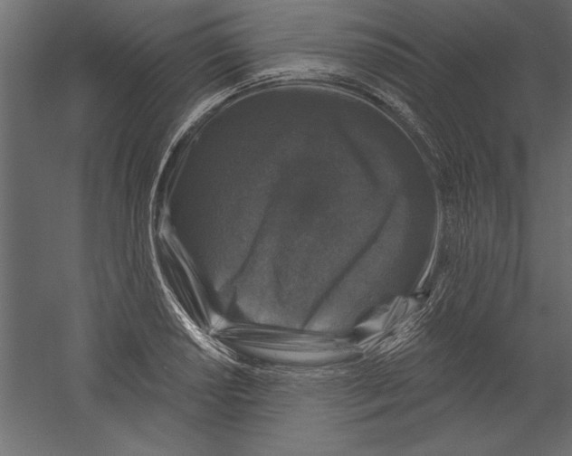 X0000060221034200511241234