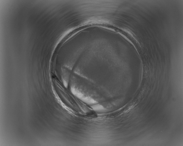 X0000060221038200511241234
