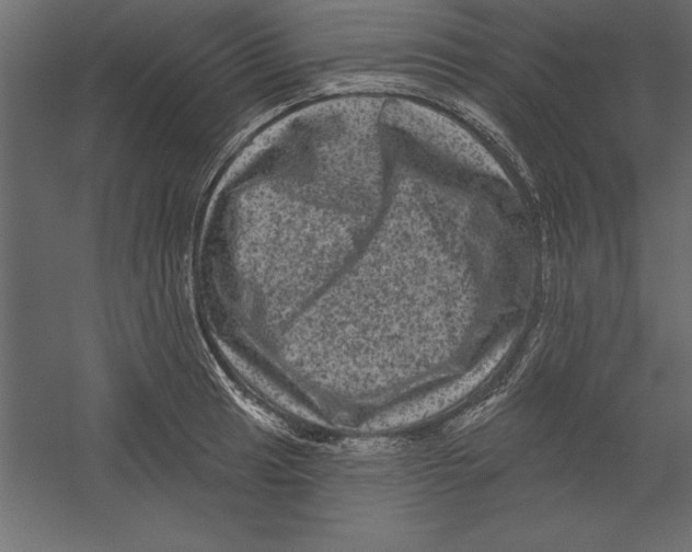X0000060221041200511241234