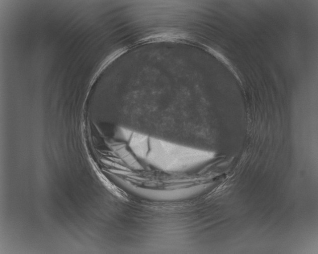 X0000060221042200511241234