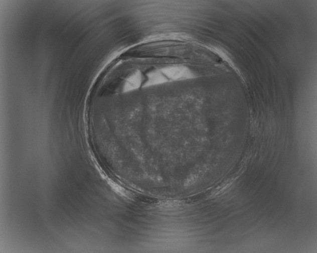 X0000060221046200511241234