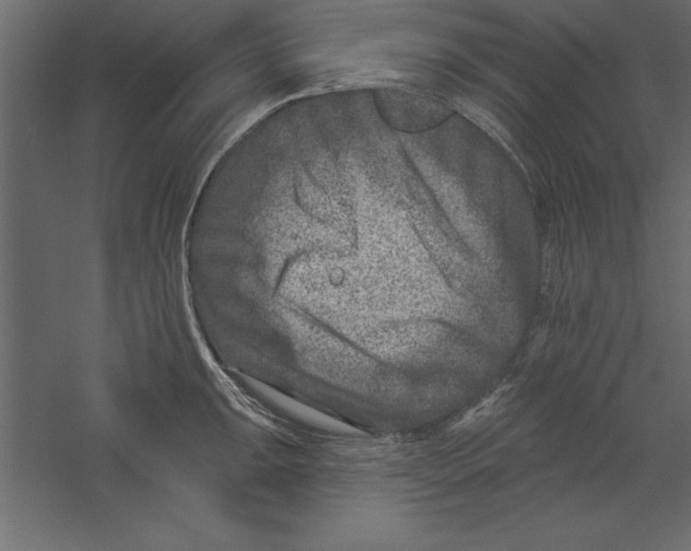 X0000060221047200511241234