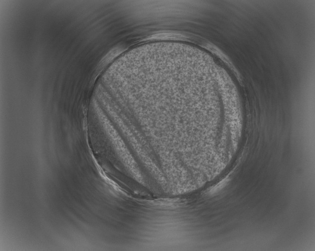 X0000060221049200511241234