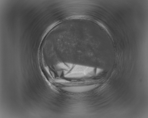 X0000060221050200511241234