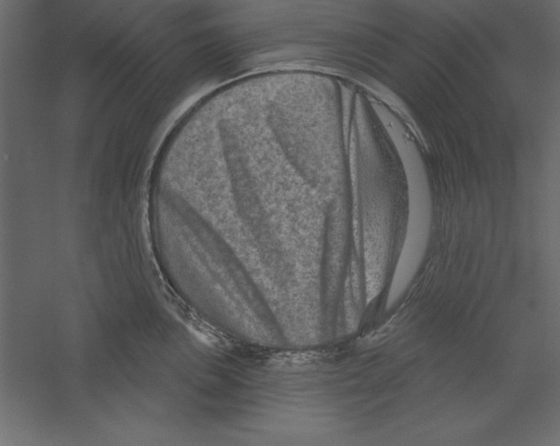 X0000060221051200511241234