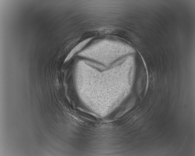 X0000060221058200511241233