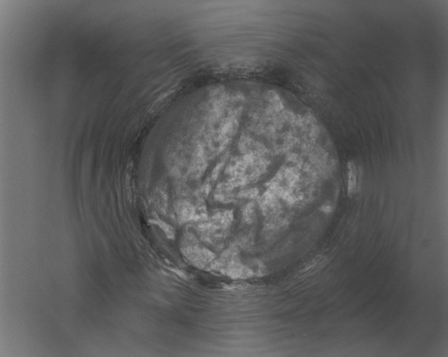 X0000060221059200511241233