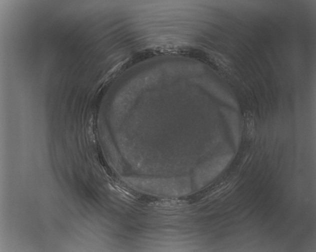 X0000060221060200511241233