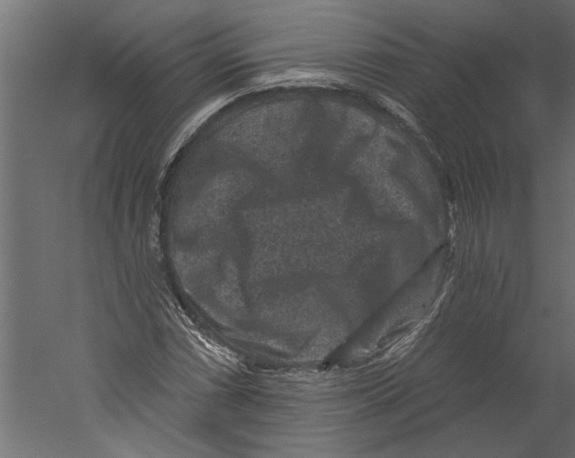 X0000060221066200511241233