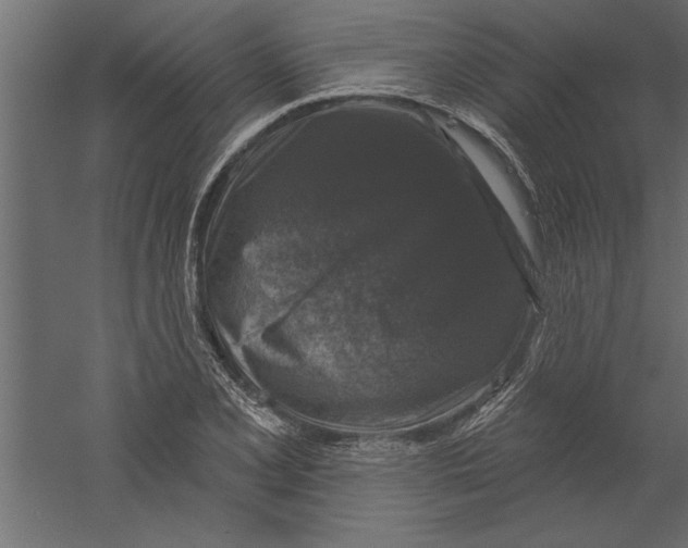 X0000060221077200511241233