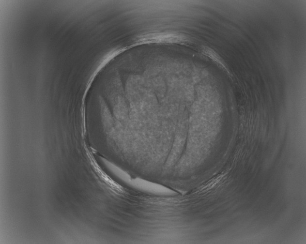 X0000060221079200511241233