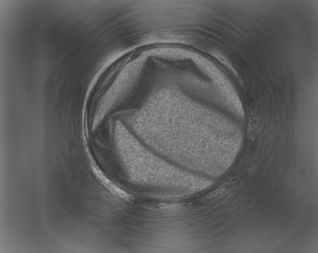 X0000060221080200511241233