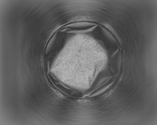 X0000060221089200511241233