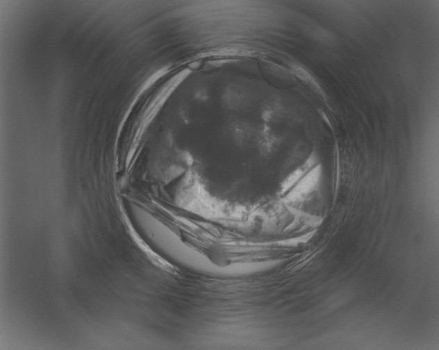 X0000060221095200511241233
