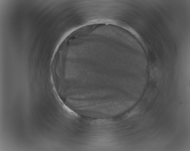 X0000060221102200511241233