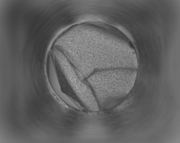 X0000060221104200511241233