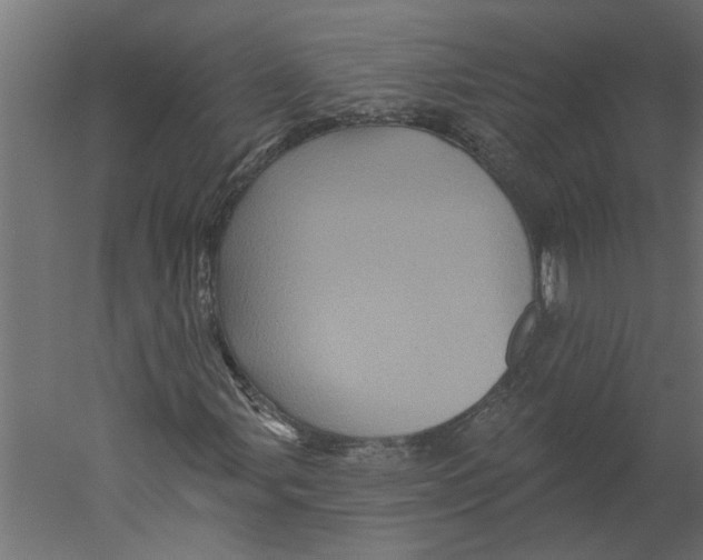 X0000060221107200511241232
