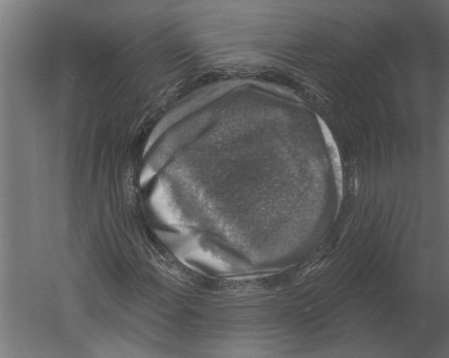 X0000060221108200511241232